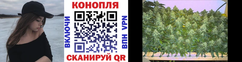 Бошки Шишки White Widow Топки